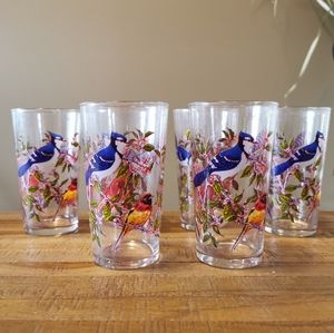 Vtg Arcoroc France Blue Jay & Baltimore Glasses